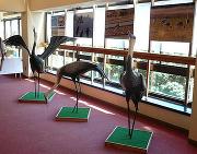 �c���̃f�R�C